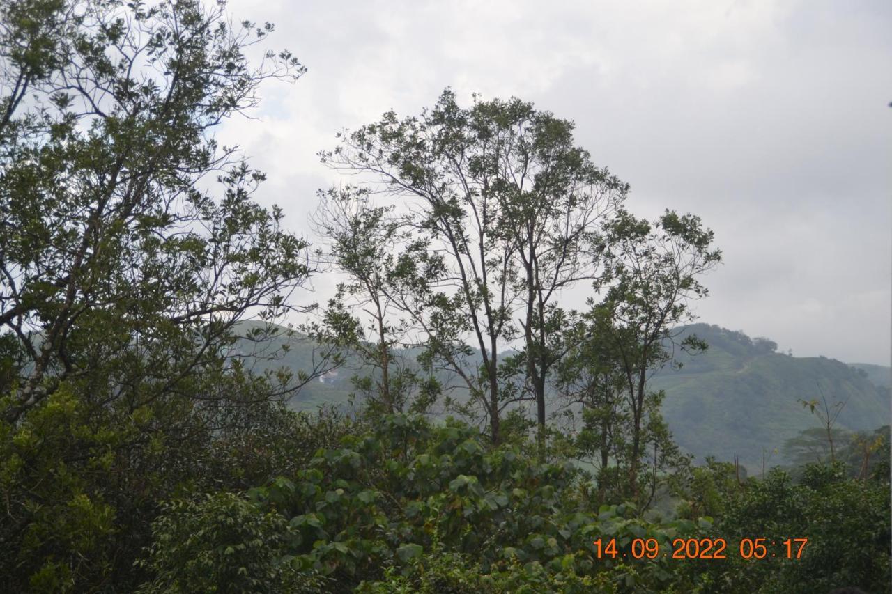Sharon Valley 바가몬 외부 사진
